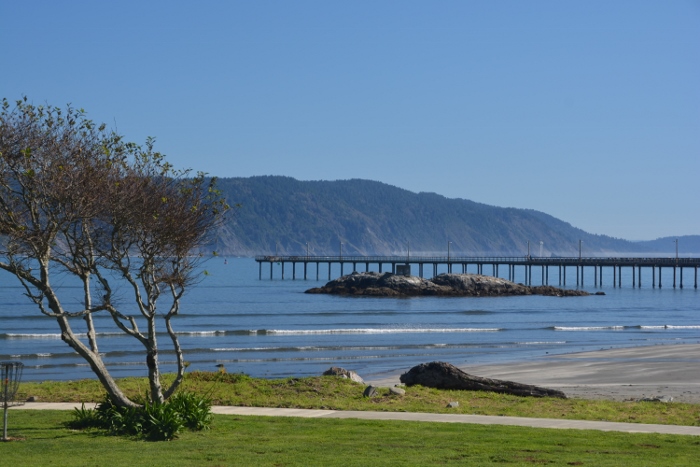 the city's fishing dock